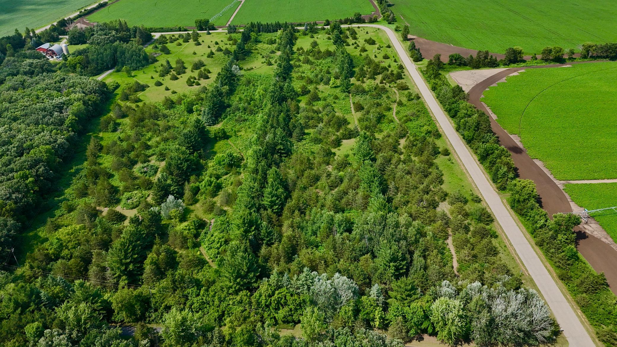 Tbd Rice Cliff Lane Northwest Rice, MN 56367 - Photo 3 of 16