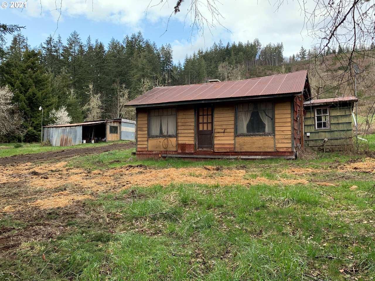 11525 South Butte Creek Road Scotts Mills, OR 97375 - Photo 1 of 22 Gallery Image 1