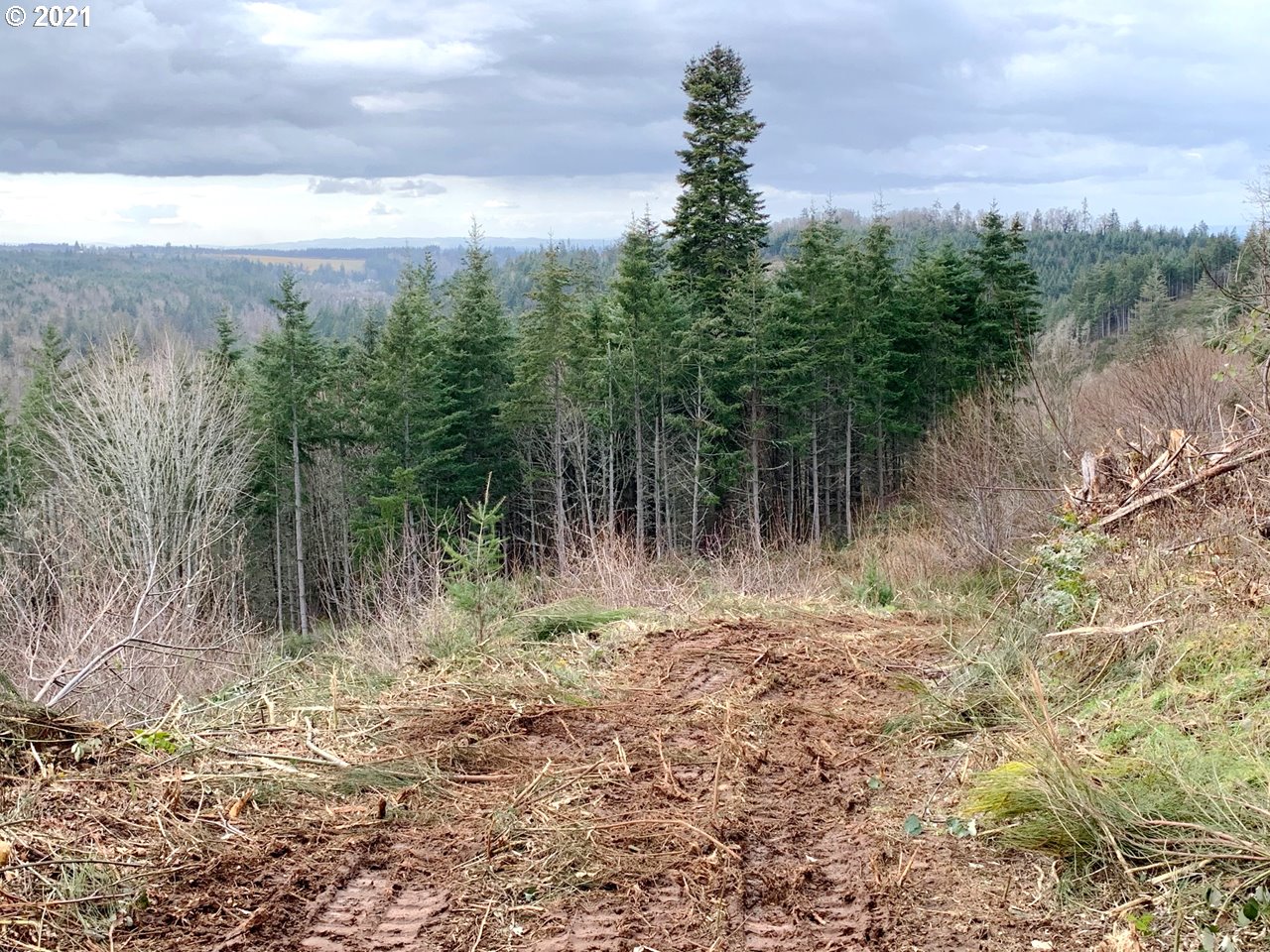 11525 South Butte Creek Road Scotts Mills, OR 97375 - Photo 11 of 22 Gallery Image 11