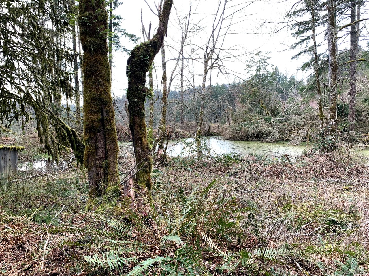11525 South Butte Creek Road Scotts Mills, OR 97375 - Photo 12 of 22 Gallery Image 12
