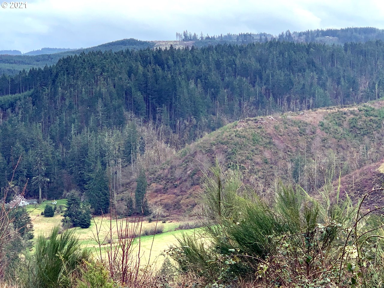11525 South Butte Creek Road Scotts Mills, OR 97375 - Photo 16 of 22 Gallery Image 16