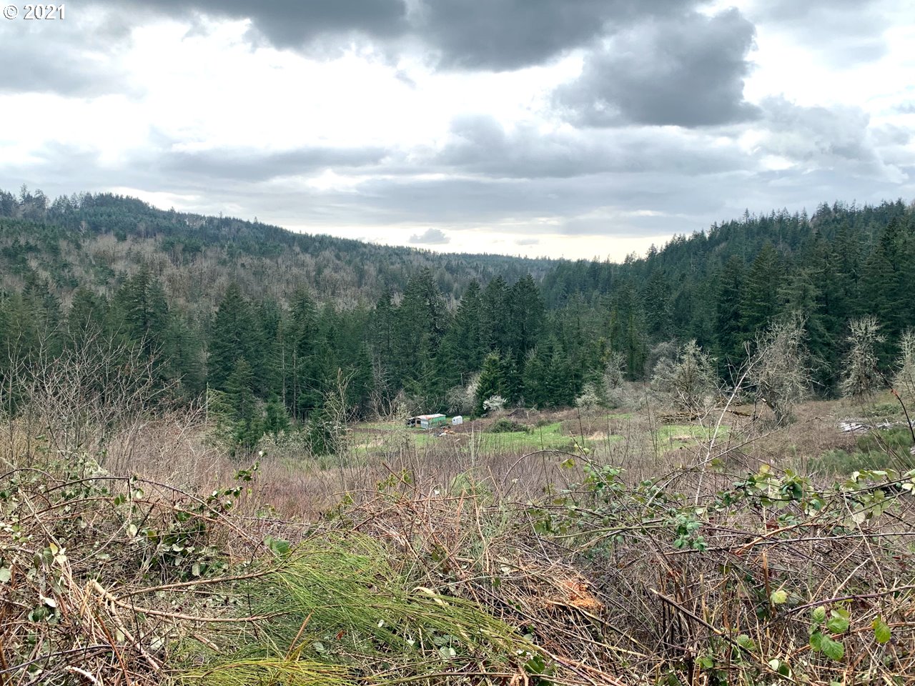 11525 South Butte Creek Road Scotts Mills, OR 97375 - Photo 18 of 22 Gallery Image 18