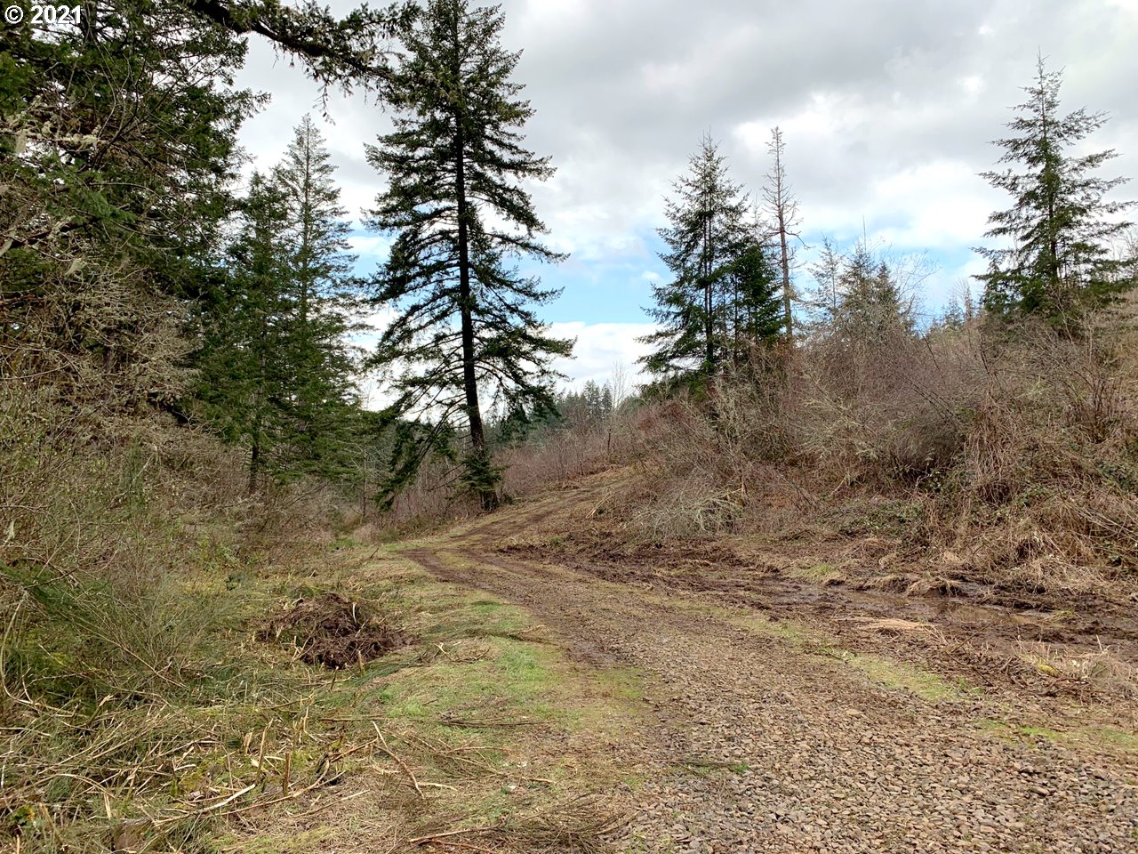 11525 South Butte Creek Road Scotts Mills, OR 97375 - Photo 6 of 22 Gallery Image 6