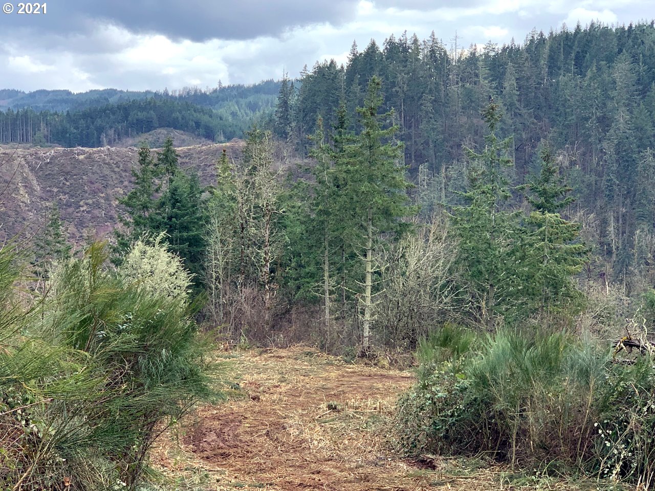11525 South Butte Creek Road Scotts Mills, OR 97375 - Photo 7 of 22 Gallery Image 7