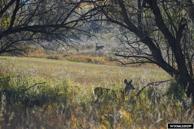 $240,000 | Lot 32 Teal Spring Drive, Sheridan, WY 82801