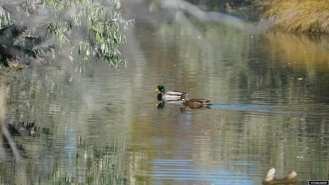 $240,000 | Lot 32 Teal Spring Drive, Sheridan, WY 82801