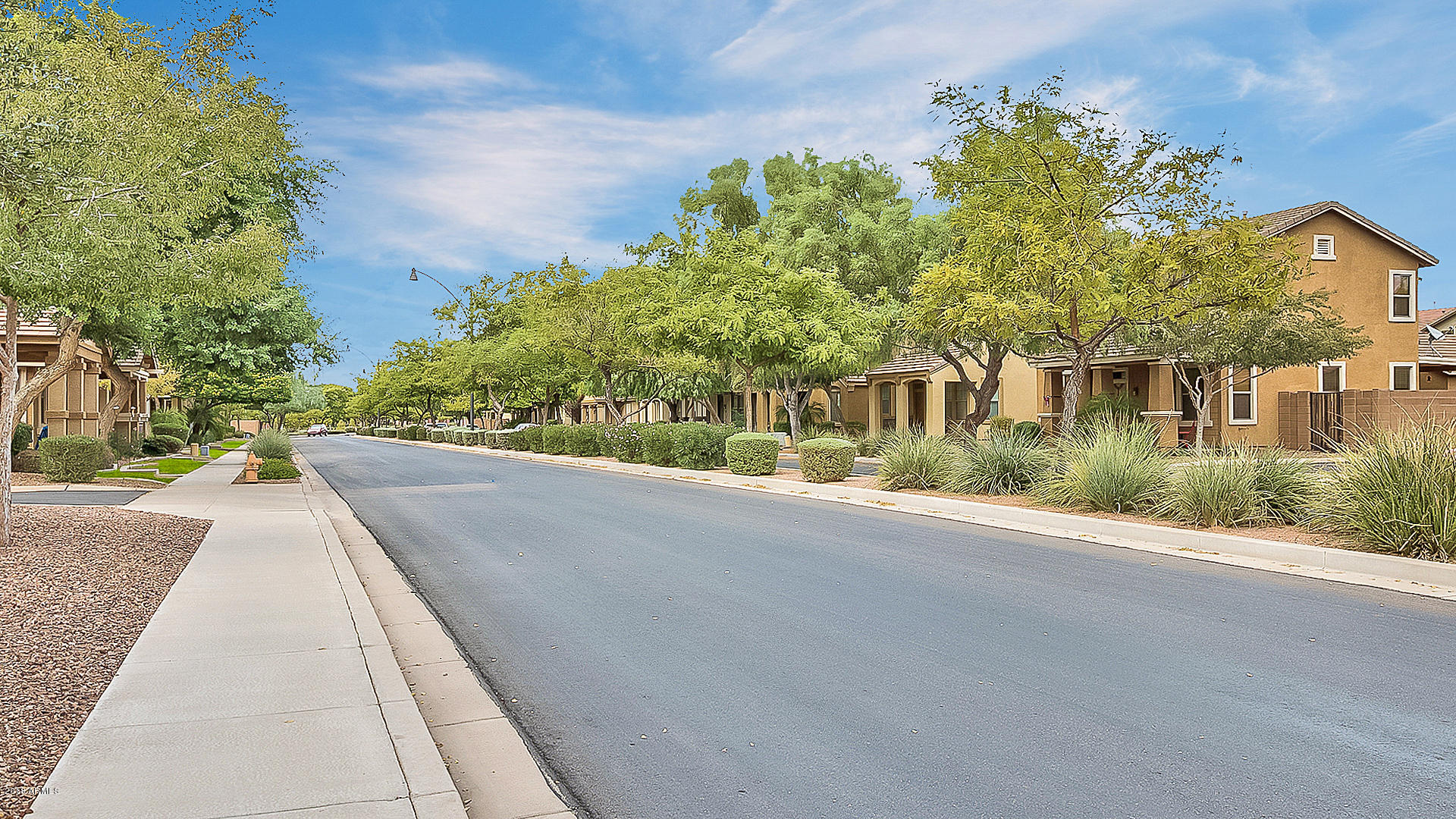 3764 East Sexton Street Gilbert, AZ 85295 - Photo 27 of 28 43