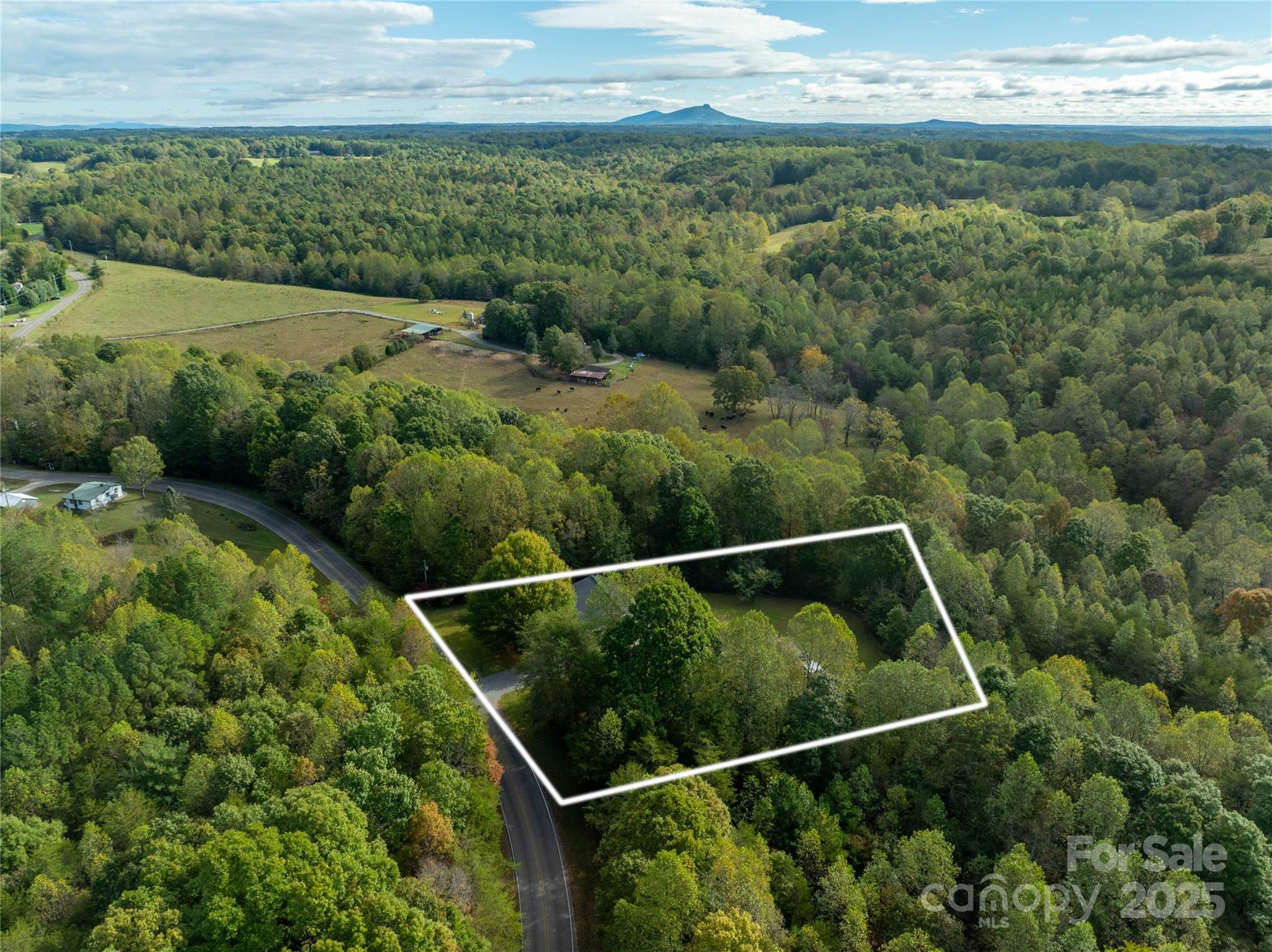 1627 Stony Knoll Road Dobson, NC 27017 - Photo 42 of 43 a view of a yard with a lake view