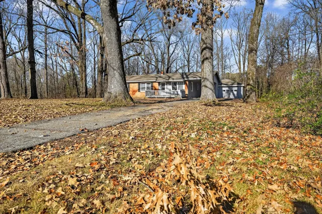 a view of a yard with large trees