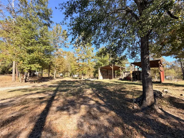 a view of a yard with plants and trees