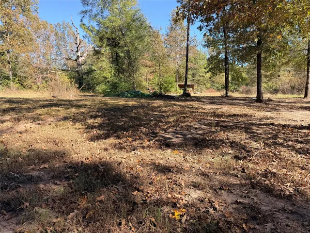 a view of a tree in the middle of a yard