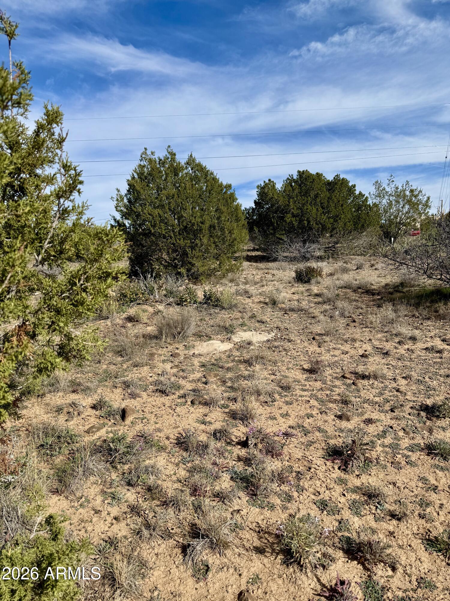 4790-4780 Smoke Signal Way, Unit 132 Rimrock, AZ 86335 - Photo 20 of 26 a view of a bunch of trees in a field