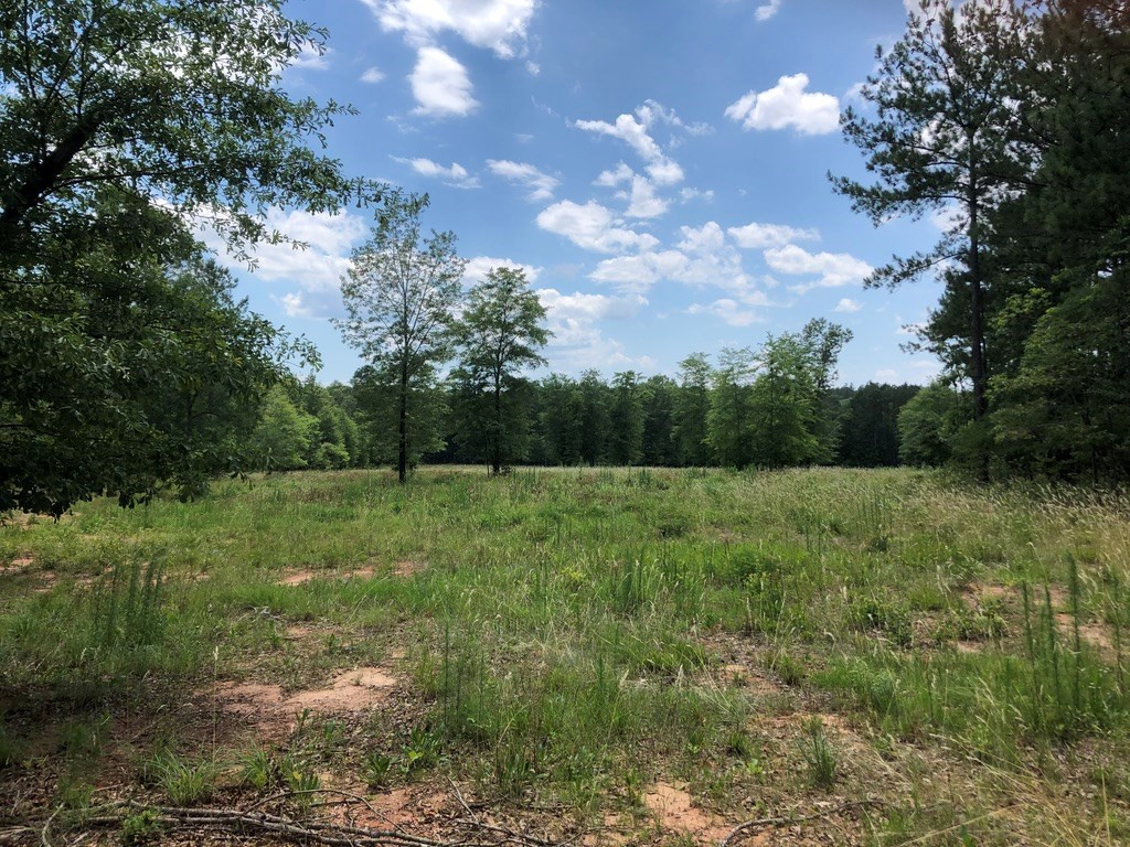 6.33-acres Implement Road Aiken, SC 29803 - Photo 12 of 18