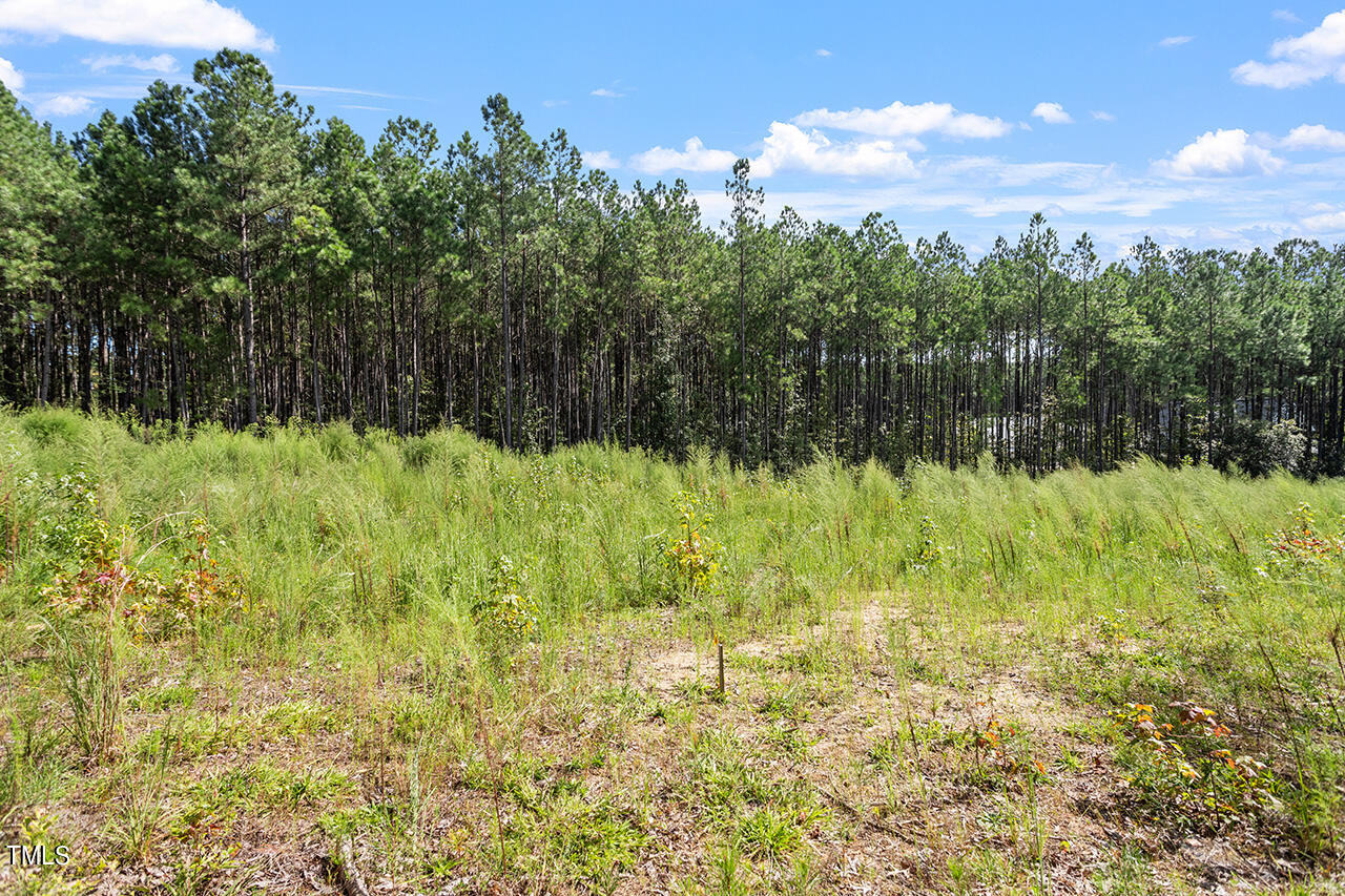 7524 Mitchell Mill Road Zebulon, NC 27597 - Photo 14 of 23 7524 Mitchell Mill Road_12