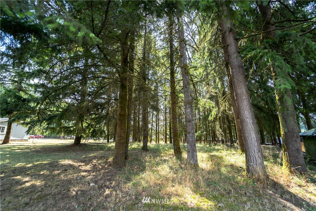 289 Antrim Road Winlock, WA 98596 - Photo 23 of 30 a view of outdoor space with trees