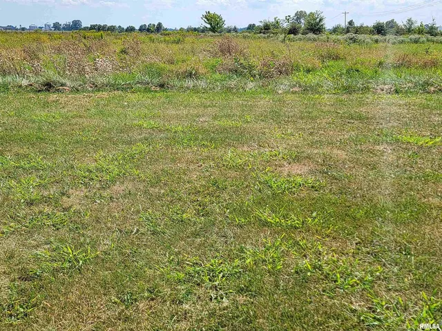 a view of three field