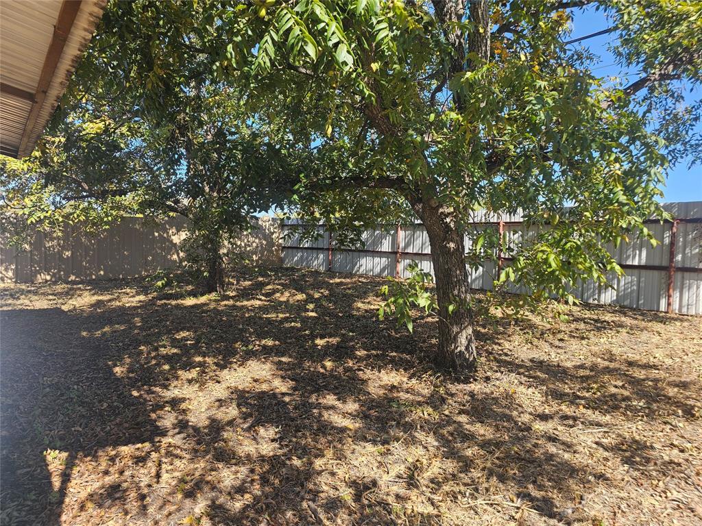 1008 Sixth Street Bangs, TX 76823 - Photo 12 of 24