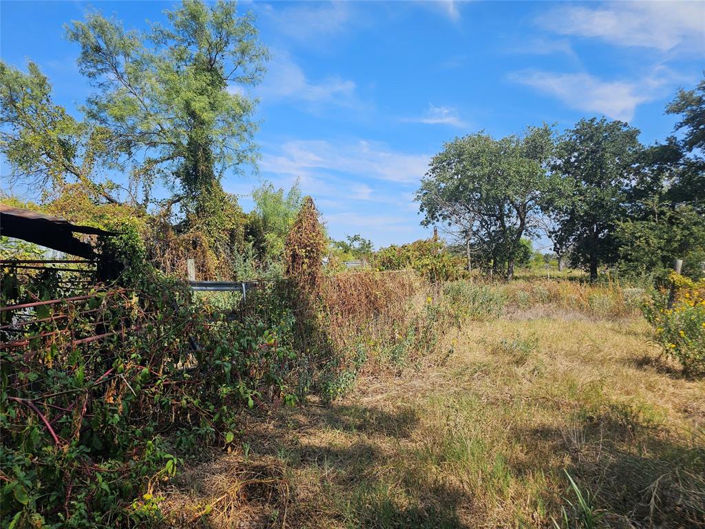 1008 Sixth Street Bangs, TX 76823 - Photo 18 of 24 a view of a yard with a tree