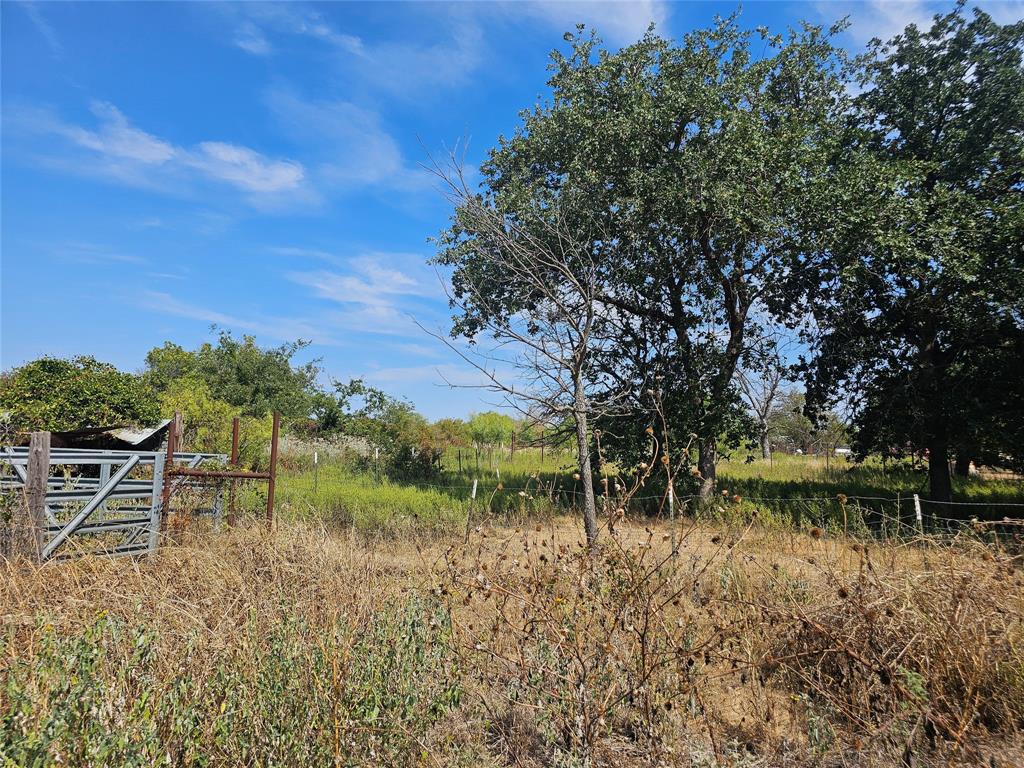 1008 Sixth Street Bangs, TX 76823 - Photo 20 of 24 a view of backyard with green space