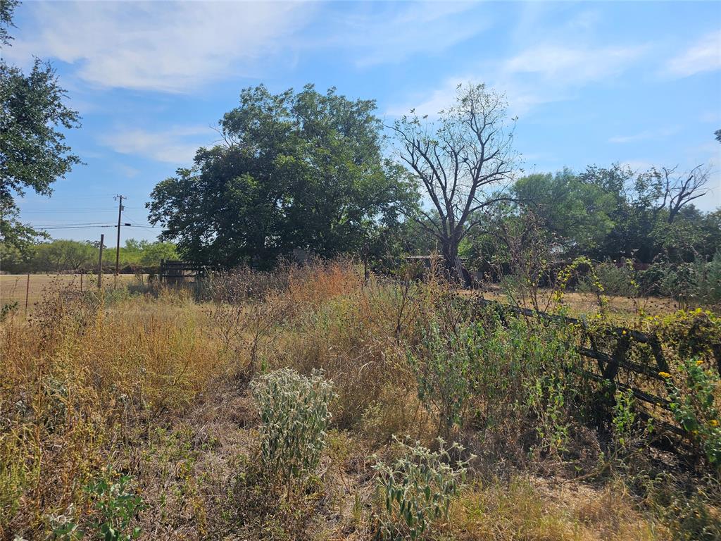 1008 Sixth Street Bangs, TX 76823 - Photo 21 of 24 a view of lake with green space