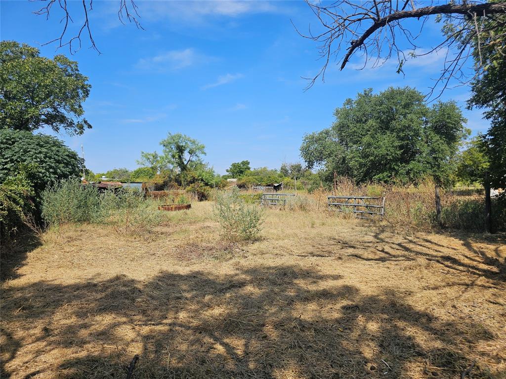 1008 Sixth Street Bangs, TX 76823 - Photo 23 of 24 a view of a yard with an trees