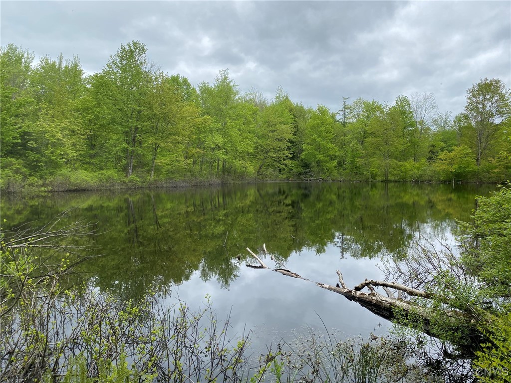 White Road Parish, NY 13131 - Photo 12 of 47 Pond View Northeast