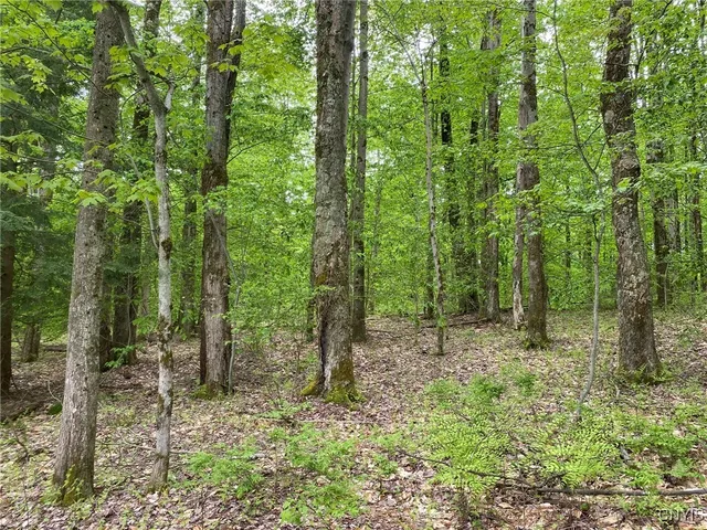 $399,000 | White Road, Parish, NY 13131