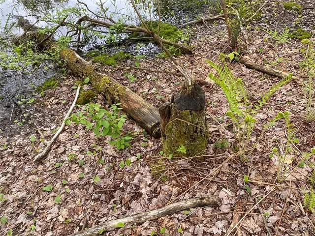 $399,000 | White Road, Parish, NY 13131