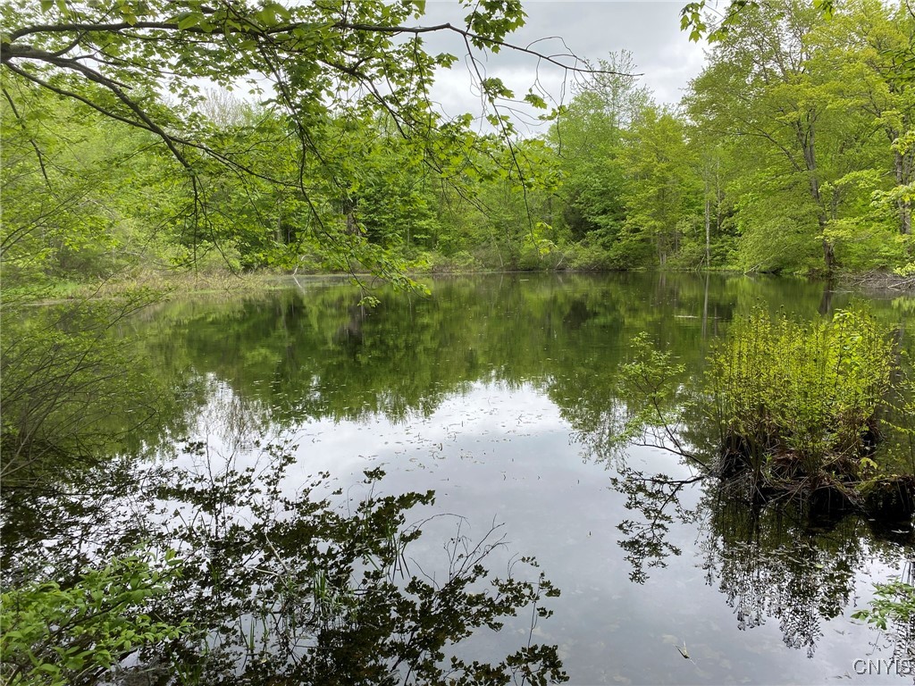 White Road Parish, NY 13131 - Photo 18 of 47 Pond Northeast View