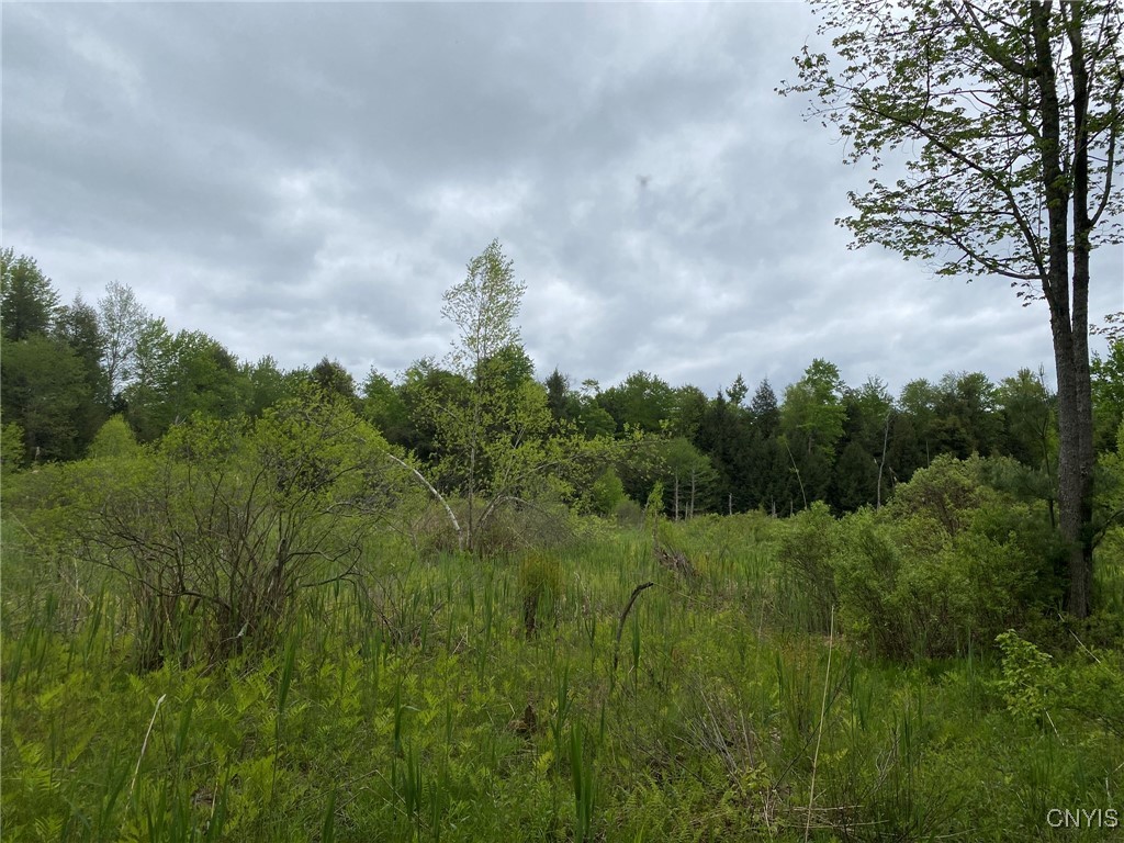 White Road Parish, NY 13131 - Photo 20 of 47 Beaver Meadow