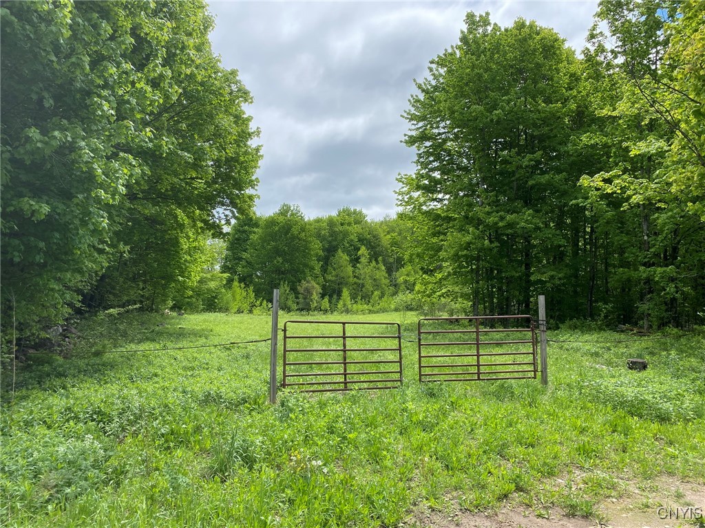 White Road Parish, NY 13131 - Photo 2 of 47 Log Landing & Gate