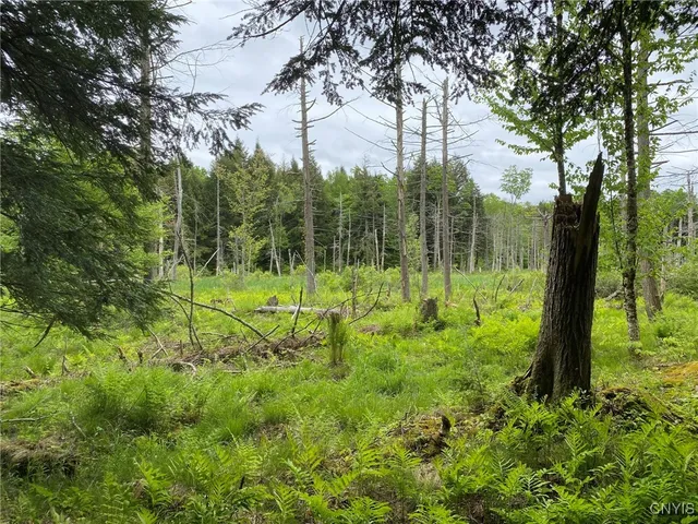 $399,000 | White Road, Parish, NY 13131