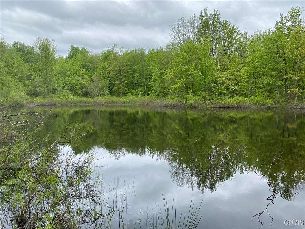 White Road Parish, NY 13131 - Photo 27 of 47 Pond Northwest View
