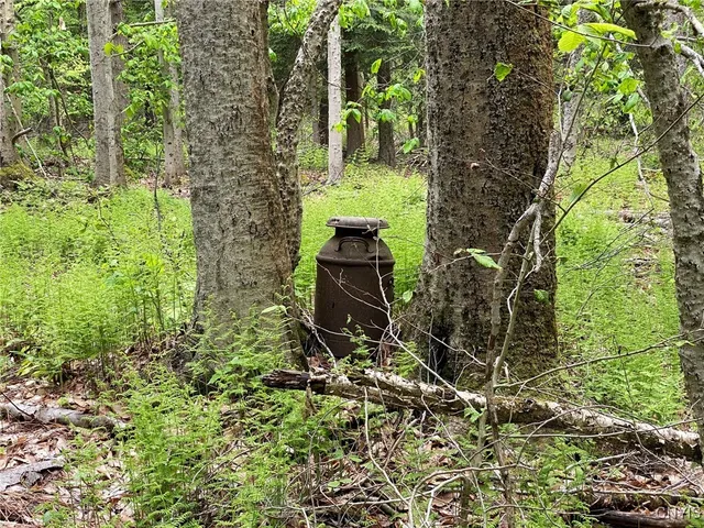 $399,000 | White Road, Parish, NY 13131