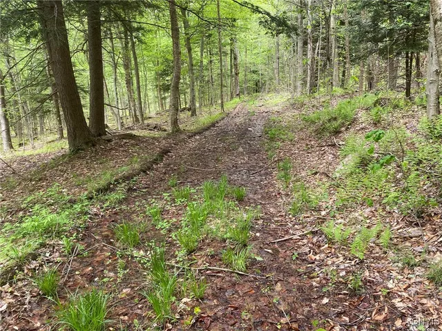 $399,000 | White Road, Parish, NY 13131