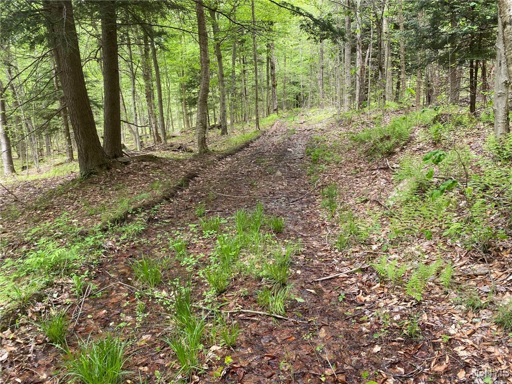 White Road Parish, NY 13131 - Photo 29 of 47 Woods Trail