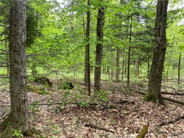 $399,000 | White Road, Parish, NY 13131