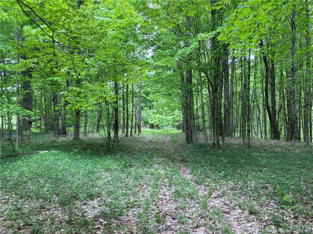 White Road Parish, NY 13131 - Photo 3 of 47 Woods Road