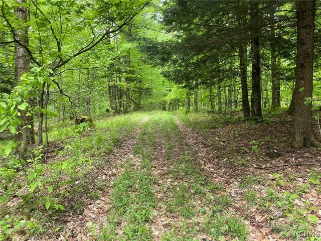 $399,000 | White Road, Parish, NY 13131