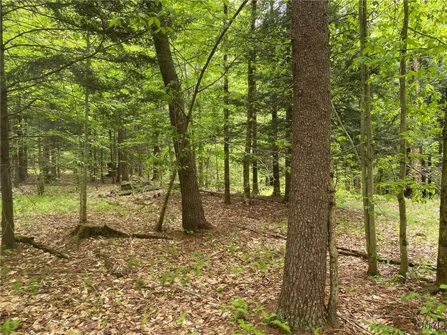 $399,000 | White Road, Parish, NY 13131