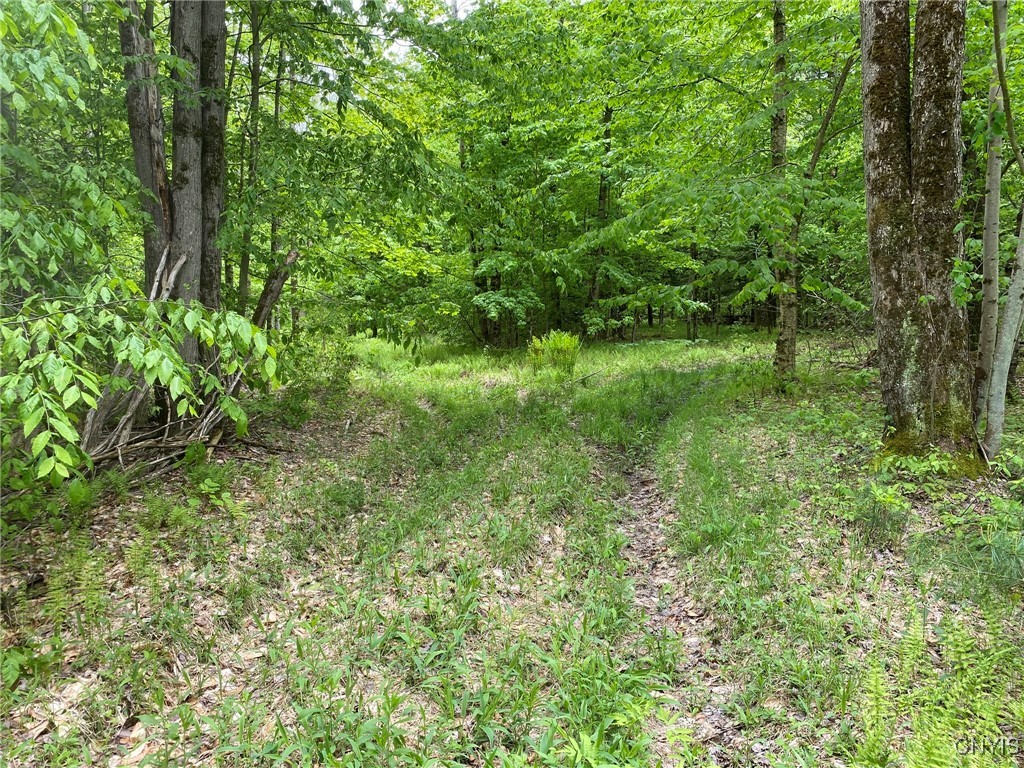 White Road Parish, NY 13131 - Photo 36 of 47 Woods Trail