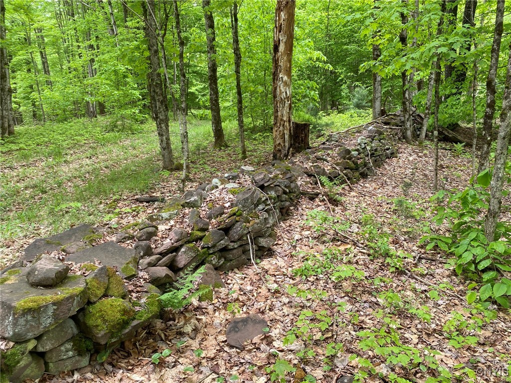 White Road Parish, NY 13131 - Photo 37 of 47 Interior Stone Fence