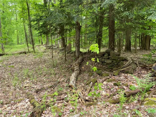 $399,000 | White Road, Parish, NY 13131