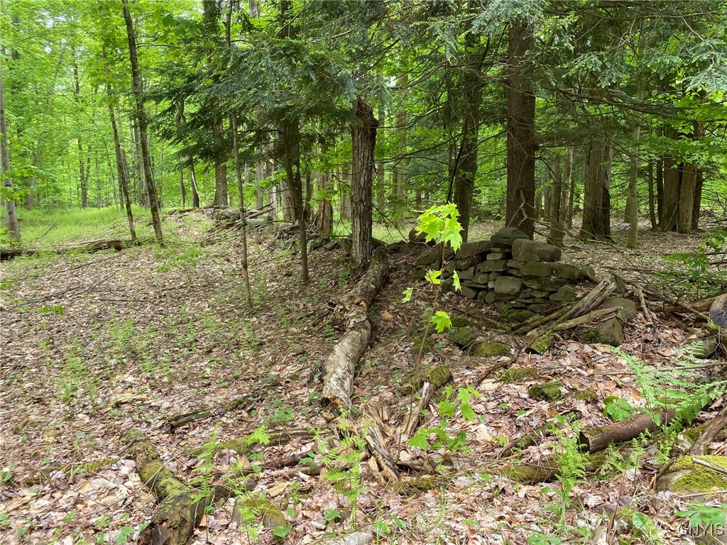 White Road Parish, NY 13131 - Photo 41 of 47 Interior Stone Wall