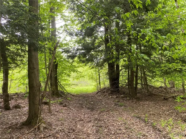 $399,000 | White Road, Parish, NY 13131