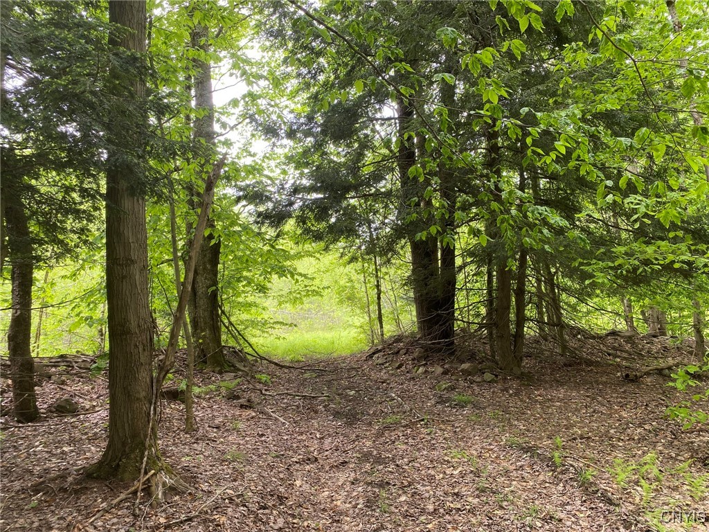 White Road Parish, NY 13131 - Photo 43 of 47 Woods Trail to Landing