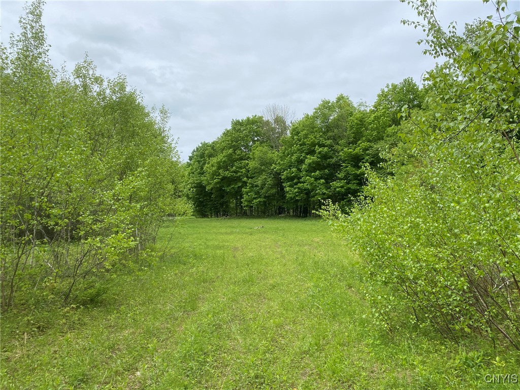 White Road Parish, NY 13131 - Photo 44 of 47 Log Landing