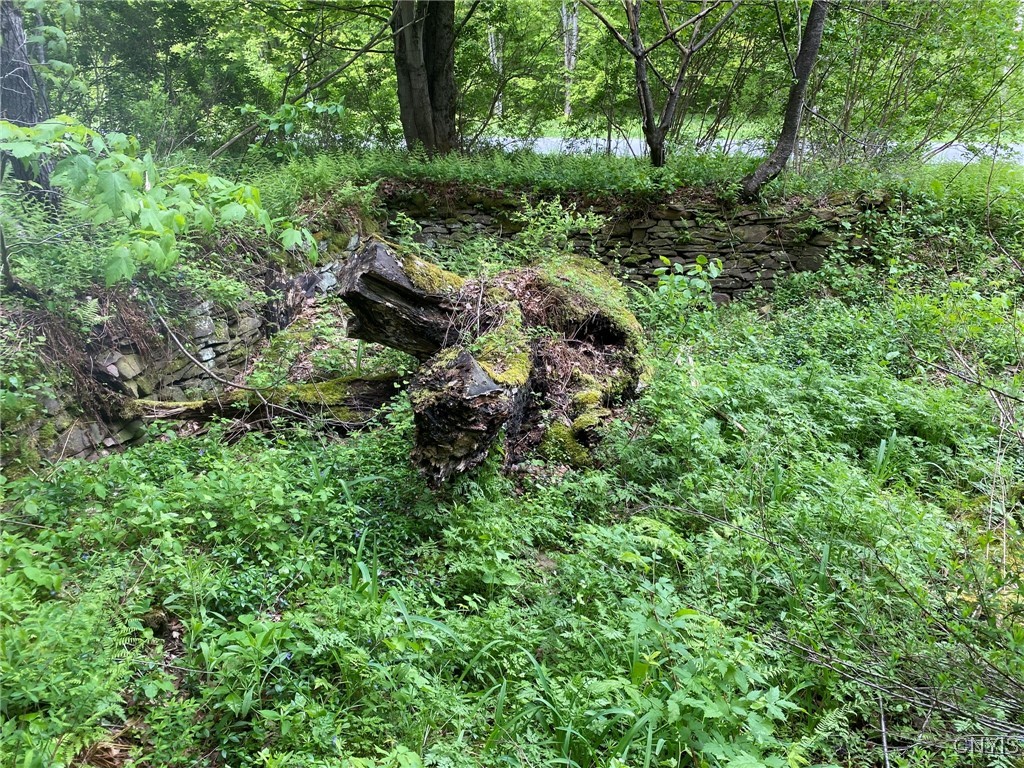 White Road Parish, NY 13131 - Photo 5 of 47
Farmhouse Foundation