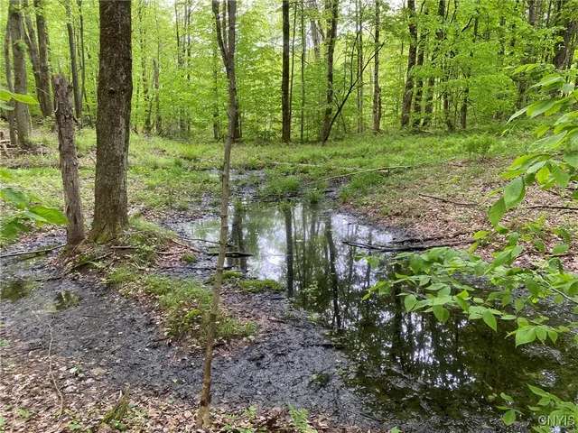 $399,000 | White Road, Parish, NY 13131