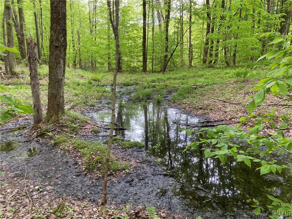 White Road Parish, NY 13131 - Photo 7 of 47 Wet Area Near Foundation